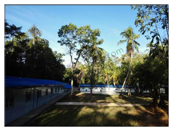 15935708767315.jpg 15508061453551_副本.jpg